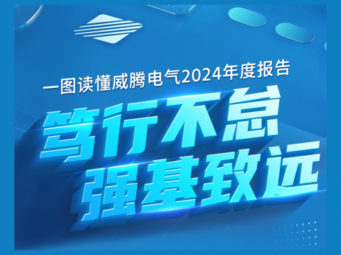 一图读懂GALAXY银河国际电气2024年度报告