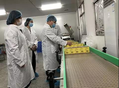 齐心抗疫，确保质量！BG大游集团官网公司振隆厂外车间接受广药集团生产监督保障小组工作督导